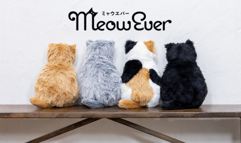 MeowEver
