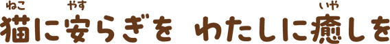 猫に安らぎを　わたしに癒しを