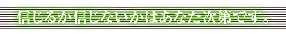 信じるか信じないかはあなた次第です